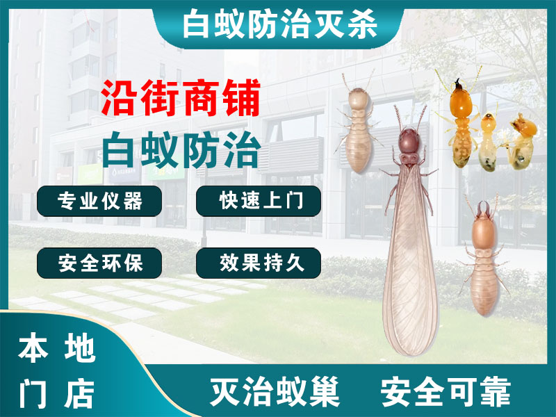 泰顺县沿街商铺白蚁防治