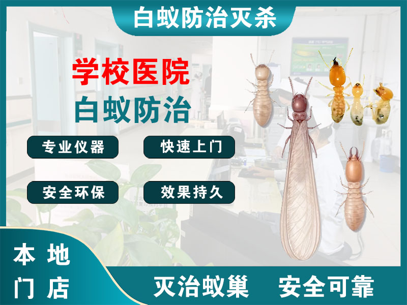 泰顺县学校医院白蚁防治