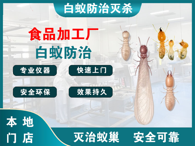 泰顺县食品加工厂白蚁防治