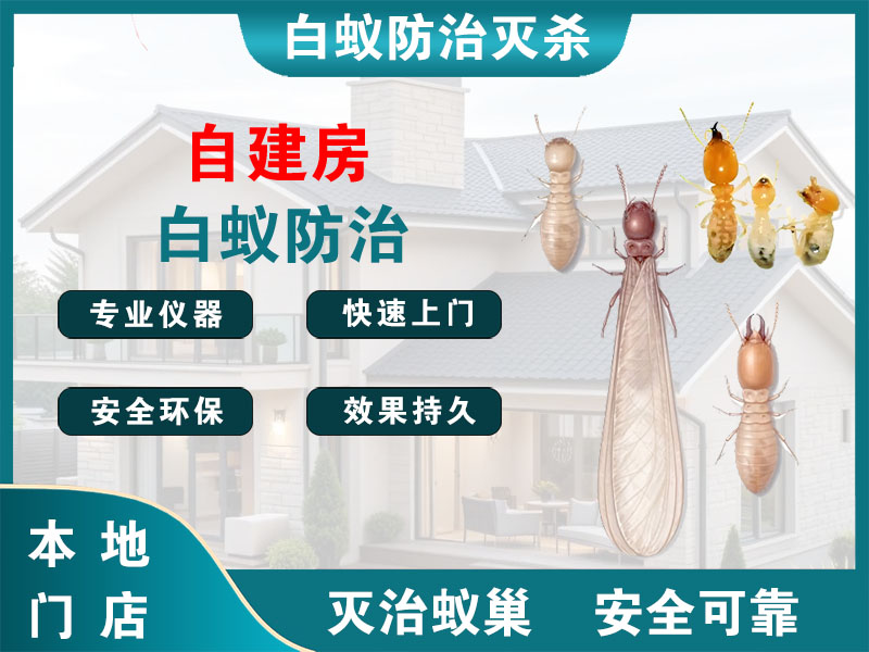泰顺县自建房白蚁防治