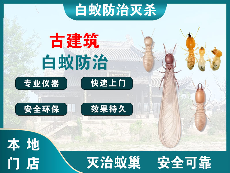 泰顺县古建筑白蚁防治