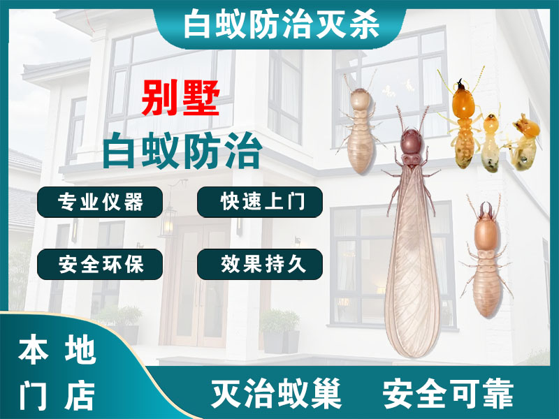 泰顺县别墅白蚁防治